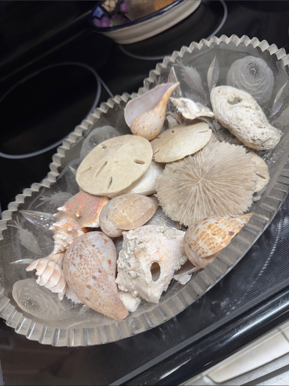 Vintage cut glass crystal Decorative Bowl with seashells